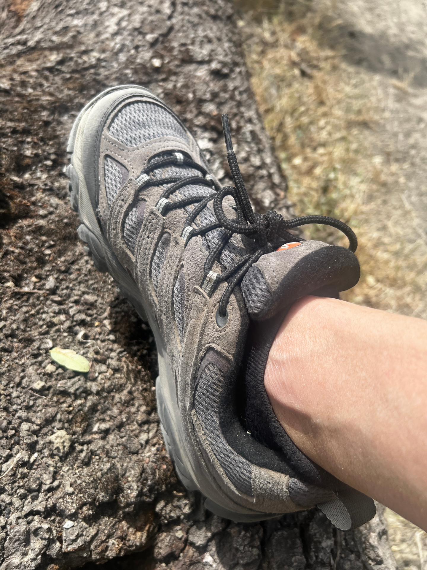 Gen X UGC creator's close-up lifestyle shot of a well-worn Merrell hiking shoe on a tree trunk outdoors.